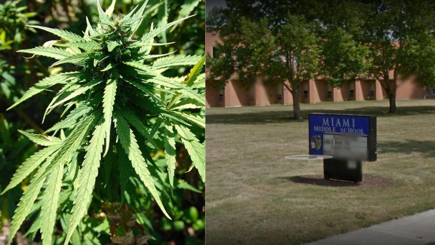 Discuten permitir el uso de marihuana medicinal en escuelas de Miami