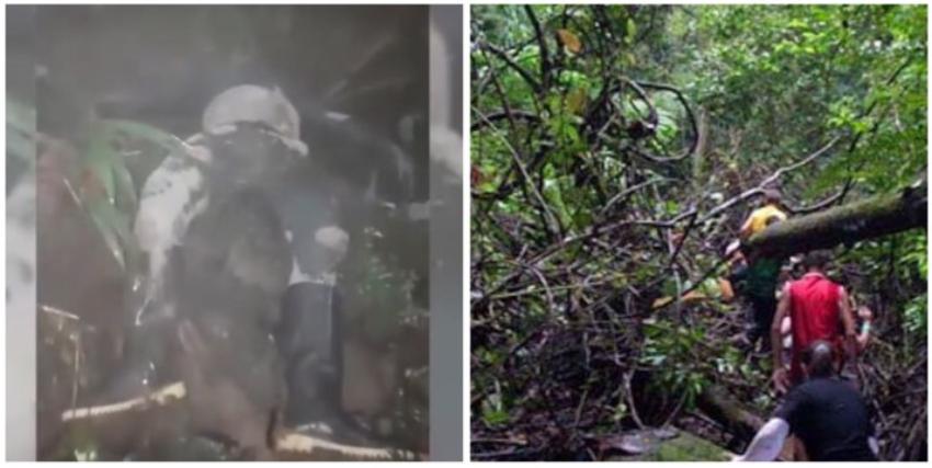 Migrante cubano murió de un infarto intentando cruzar la peligrosa selva conocida como el Tapón del Darién