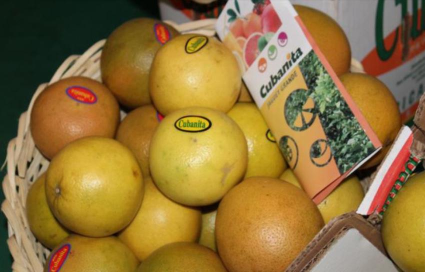 Las naranjas en Cuba son para la exportación; para los cubanos dejan las de peor calidad