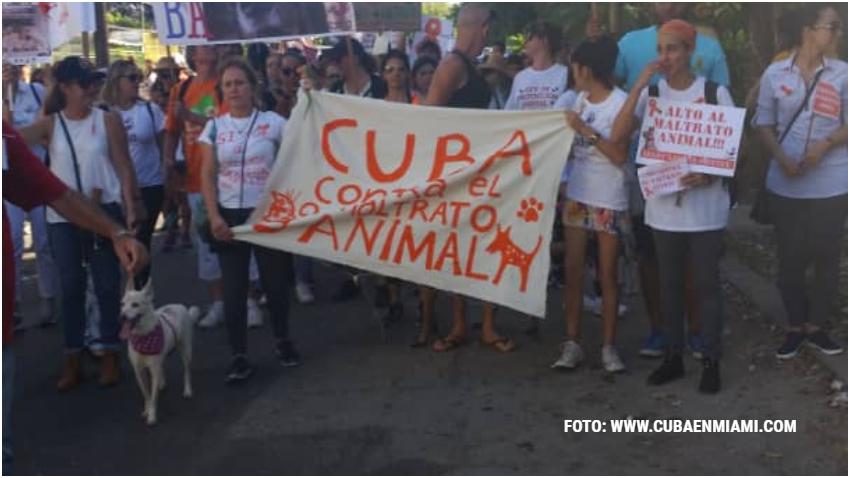 Despiden al funcionario que autorizó la marcha contra el maltrato animal en Cuba