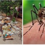 México enciende alertas por crisis sanitaria en Cuba: la isla se hunde en basura acumulada, brote de chikungunya y hospitales colapsados basura en La Habana