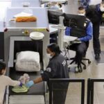 Insólito intento de contrabando en Miami: mujer intentó pasar dos tortugas escondidas en su sostén en el aeropuerto TSA EEUU (1)