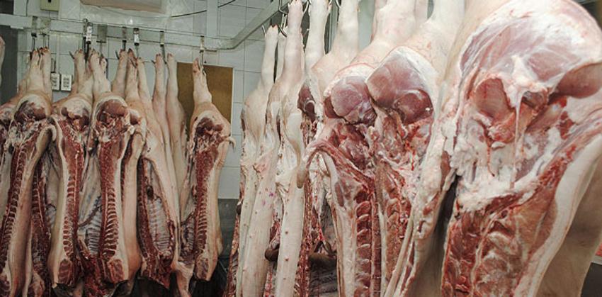 Prensa oficialista da a conocer 26.000 libras de carne de cerdo se echaron a perder en un frigorífico cubano, en medio de la escasez alimentaria