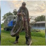 Hasta 10.000 dólares por cazar serpientes en Florida: así puedes participar en el desafío de los Everglades piton cowboy (1)