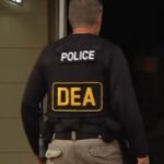 Ruta del narco en la Turnpike: la DEA incauta 173 kilos de cocaรญna escondidos bajo un camiรณn comercial dea-miami