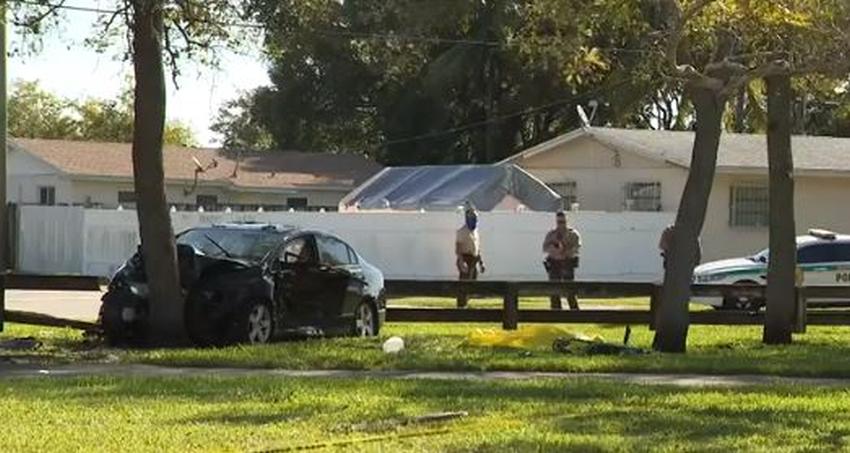 Anciana de 81 años del suroeste de Miami Dade muere tras estrellar su auto contra un árbol