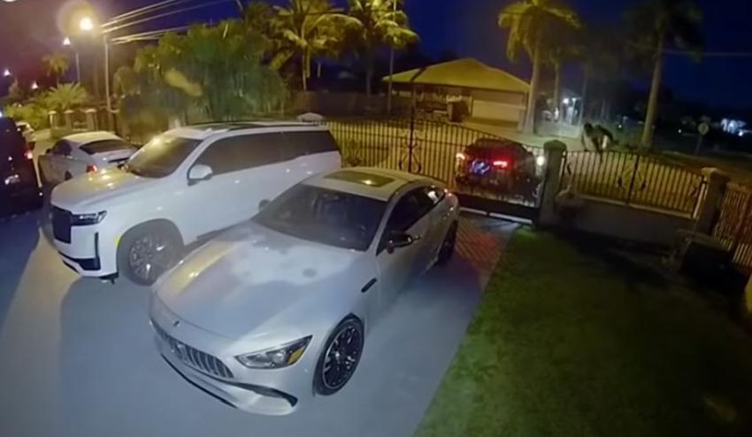 En cámara como ladrones se roban dos lujosos autos del parqueo de una casa en Miami
