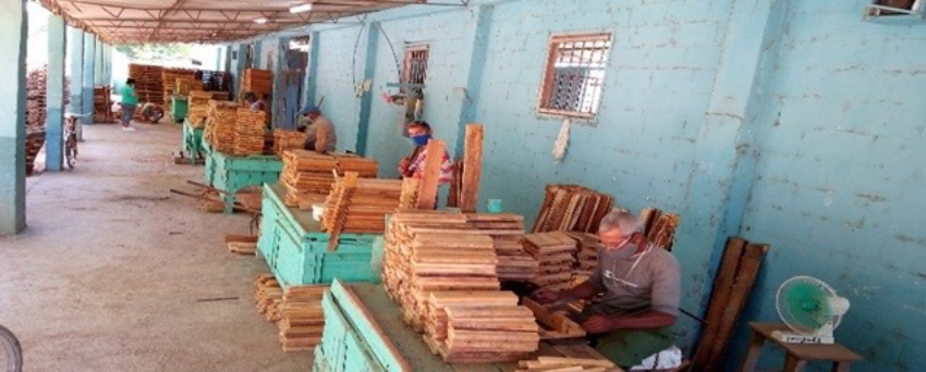 Comenzarán a vender madera en las tiendas en dólares en Cuba