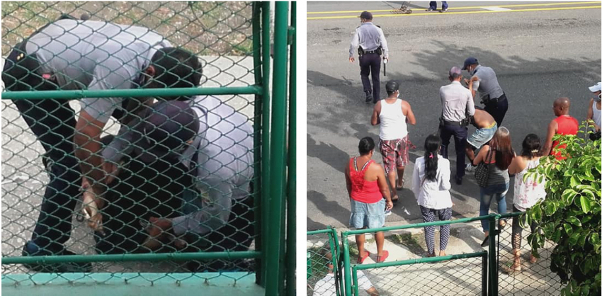 Joven cubano detenido violentamente y multado por tomarse un helado mientras caminaba por un parque en 23 y C, en el Vedado