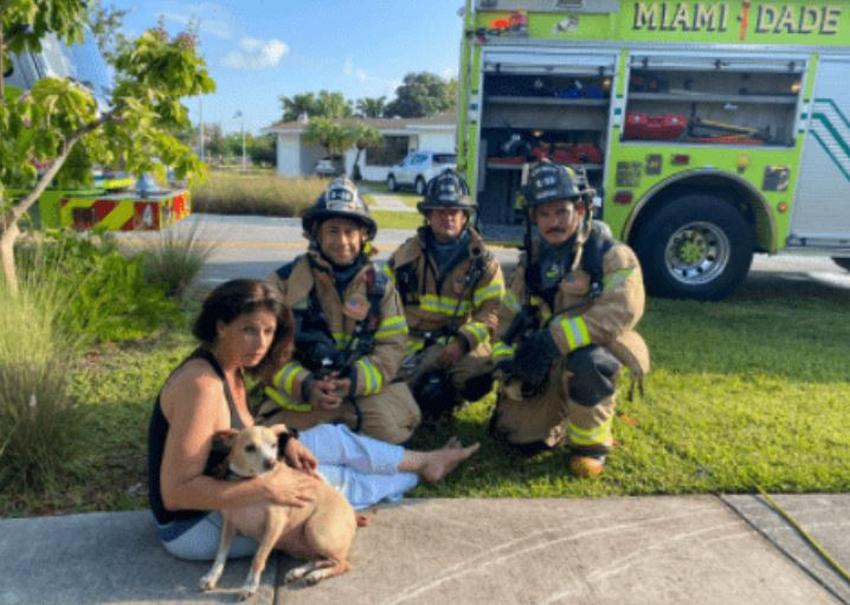 Bomberos en Miami-Dade salvan a una mascota de una casa que se estaba quemando
