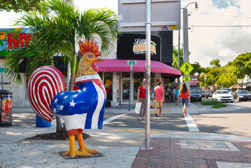 La popular Calle Ocho de Miami, tendrá este fin de semana su primera gallina y será de nacionalidad colombiana