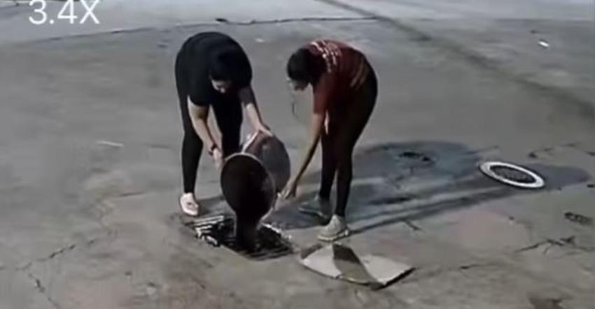 Policía de Miami busca a dos mujeres captadas en cámara vertiendo aceite de cocina en una alcantarilla