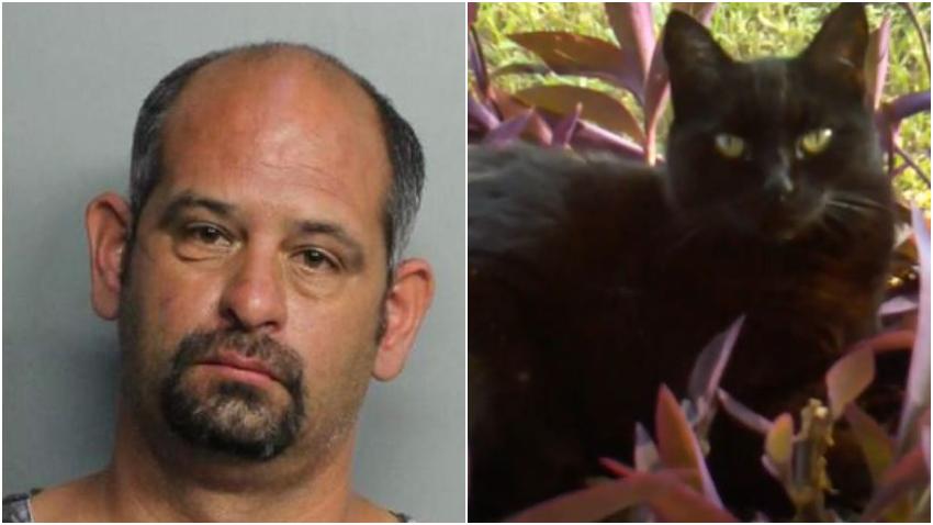 Arrestan hombre en Hialeah acusado de disparar a un gato con una pistola de perdigones