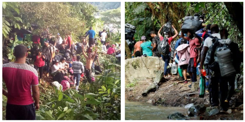 En el mes de enero más de 300 cubanos cruzaron la selva del Darién con el objetivo de alcanzar suelo estadounidense