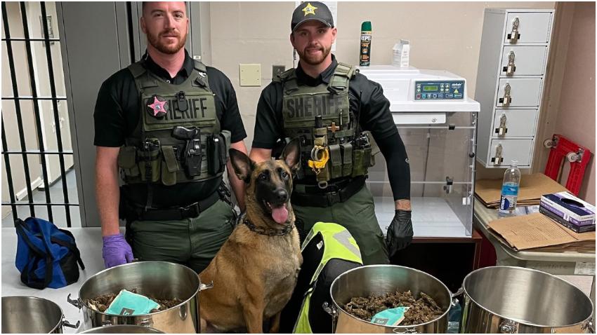 Perro de policía descubre marihuana en ollas de presión en la Florida