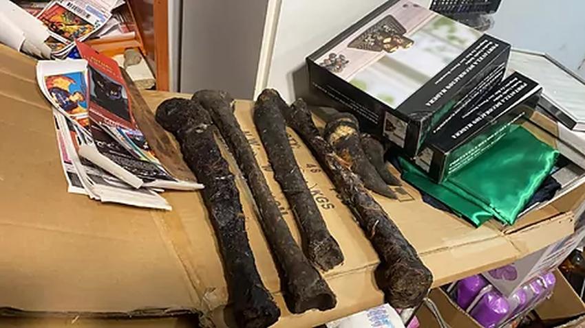 En una tienda de santería cubana en España, fueron encontrados huesos humanos del siglo XX