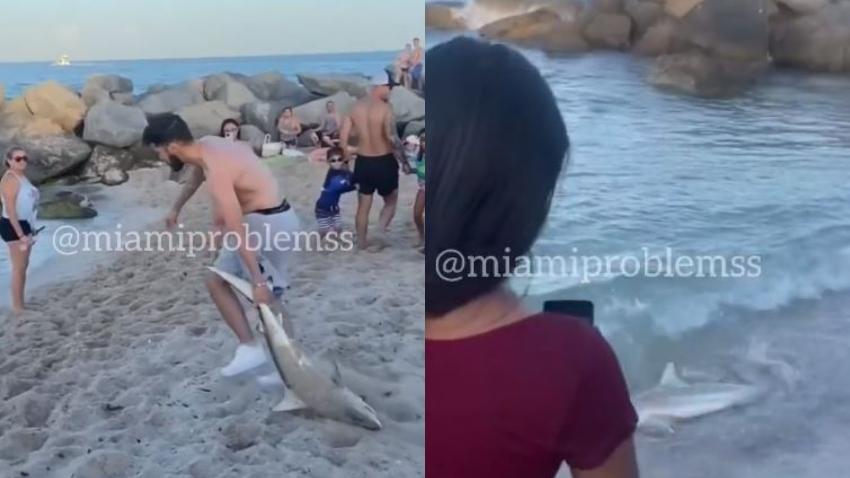 Turistas en Miami Beach ayudan a devolver al mar a un pequeño tiburón en la playa