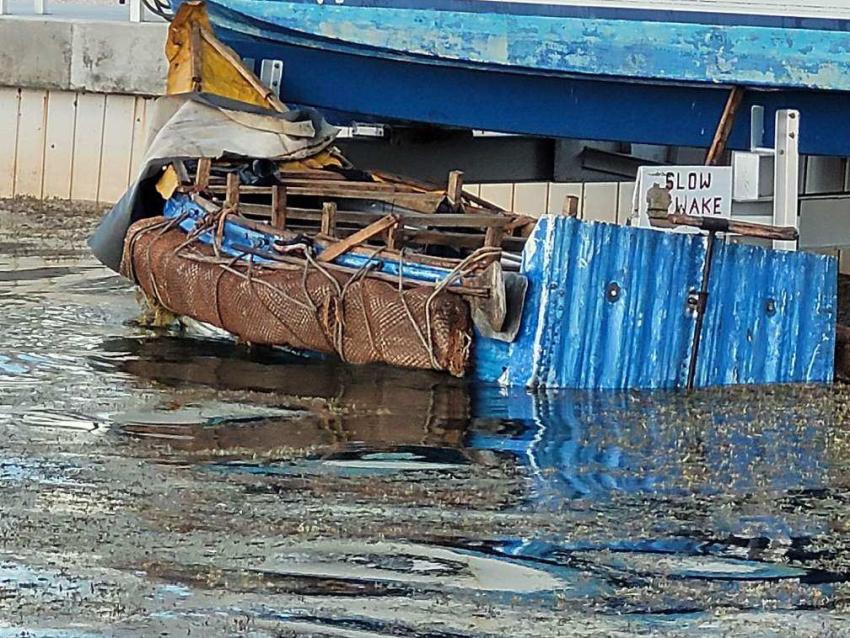 Llegan a Cayos de Florida ocho balseros cubanos después de 20 horas de travesía por mar