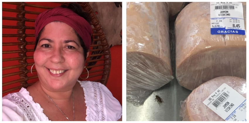 Amenazada por la Seguridad del Estado locutora cubana que denunció cucarachas en el jamón en una tienda en MLC