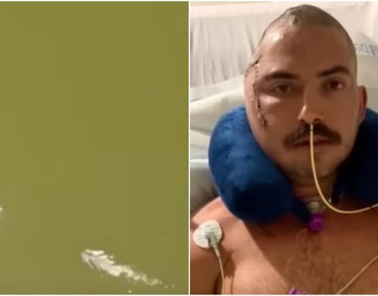 Captan desde un drone el ataque de un caimán a un hombre en un lago de Florida