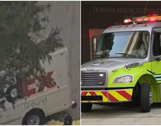 Muere conductor de un camión de FedEx que chocó contra un árbol en Coral Gables