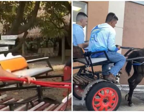 Joven captado en video en un McDonalds de Hialeah en un carretón con caballos da la cara: "Yo nací en Estados Unidos"
