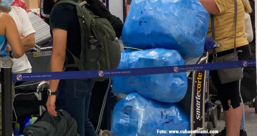 Autoridades sanitarias de EE.UU advierten de 20 viajeros procedentes de Cuba infectados con el virus de Oropouche cubanos-viajes-cuba