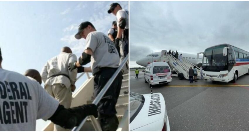 Deportaciones de Cubanos a Cuba en 2024: Más de 1300 fueron devueltos cubanos-deportados-cuba