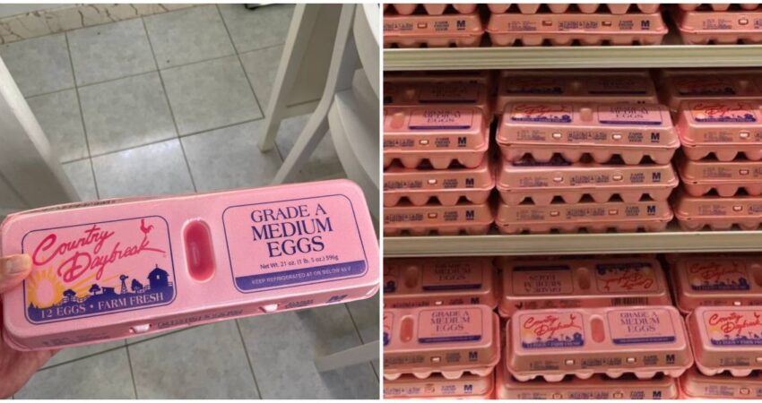 Descubre porque ha subido el precio de los huevos en los mercados de EE.UU. huevos-cuba-ee.uu_