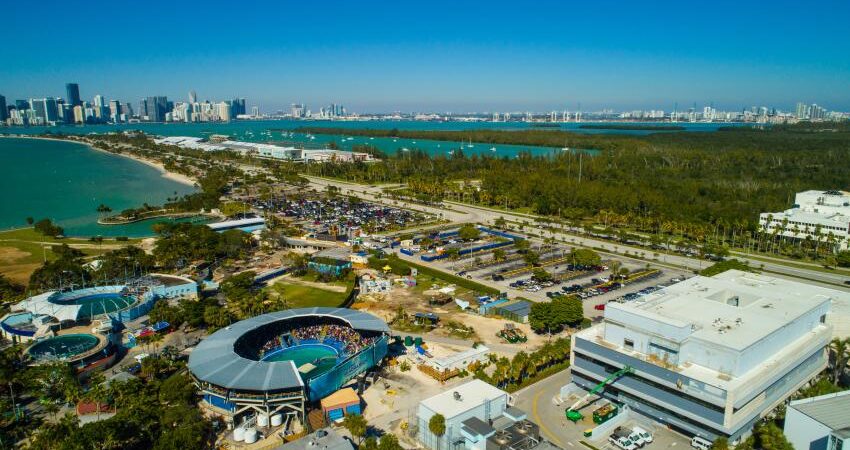 Juez rechaza moción del condado de Miami-Dade de desalojar el Miami Seaquarium acuario-de-miami