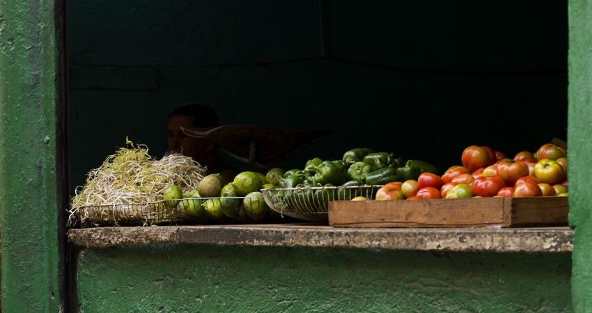 Cuba intenta negociar con Francia exportación de alimentos a pesar de la hambruna en el país mercado-mayorista-cuba