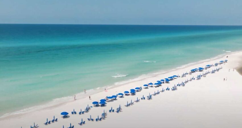 Reportan tres ataques de tiburones en playa de Florida playa-florida
