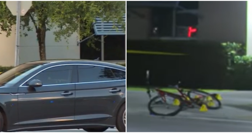 Policía de Miami investiga un tiroteo en Coconut Grove que dejó el saldo de un muerto tiroteo-en-coconut-grove-hombre-muerto