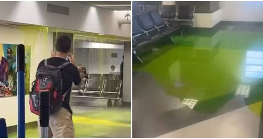 Cae líquido verde del techo del Aeropuerto de Miami aeropuerto-miami-liquido