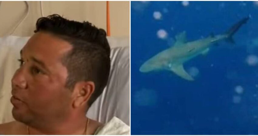 Hombre herido por ataque de tiburรณn en Cayo Hueso declara que la rapidez de su amigo le salvรณ la vida ataque-de-tiburon-hombre-herido