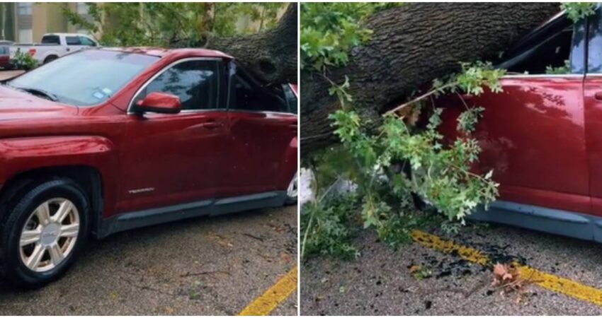 Cubano lamenta el destrozo de su auto tras la caída de un árbol durante el paso del huracán Beryl por Houston, Texas auto-aplastado-caida-de-arbol