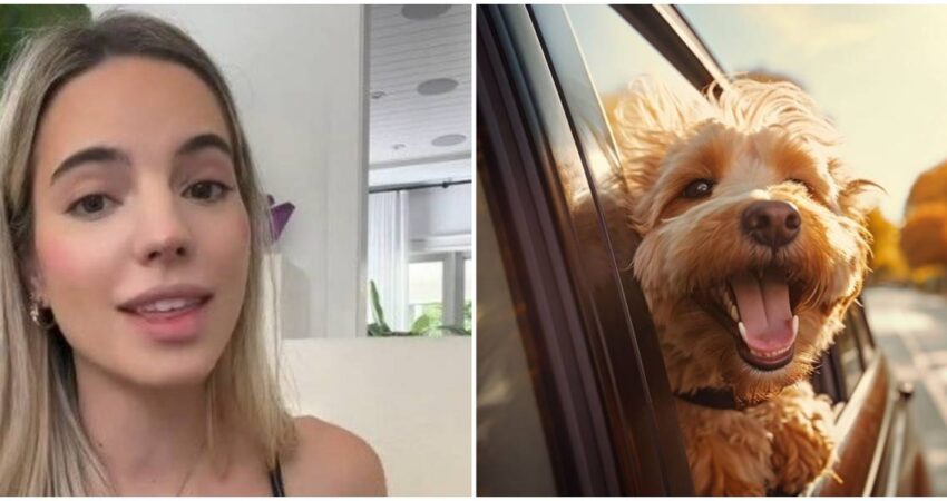 Influencer espaรฑola impresionada con los lujos en el cuidado de las mascotas en EE.UU espanola-mascota