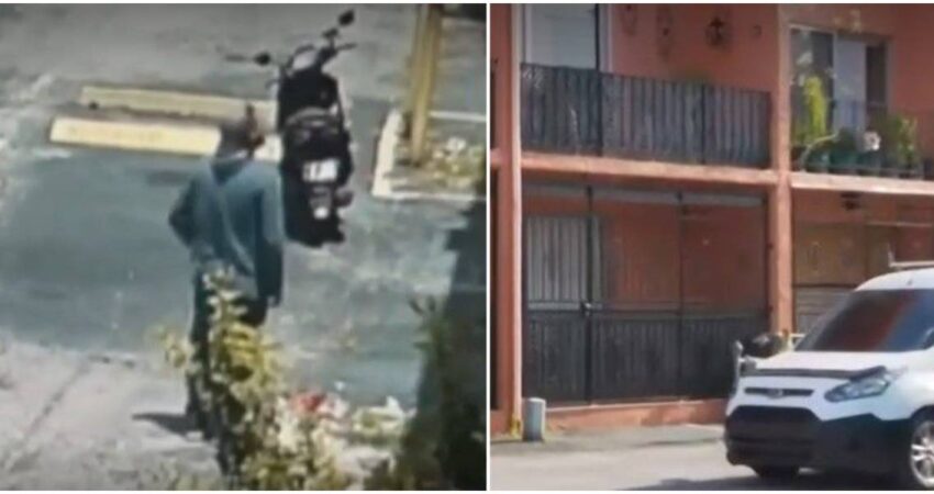 Cámara de seguridad de un condominio en Hialeah capta a un hombre que trepa a un balcón en el segundo piso para robar dos periquitos hialeah-robo