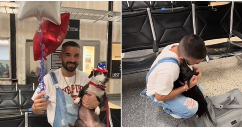 Joven cubano logra reencontrarse con su perrita en Estados Unidos y le ofrece una cariñosa bienvenida con globos joven-cubano-reencuentro-con-su-perra-en-Estados-Unidos