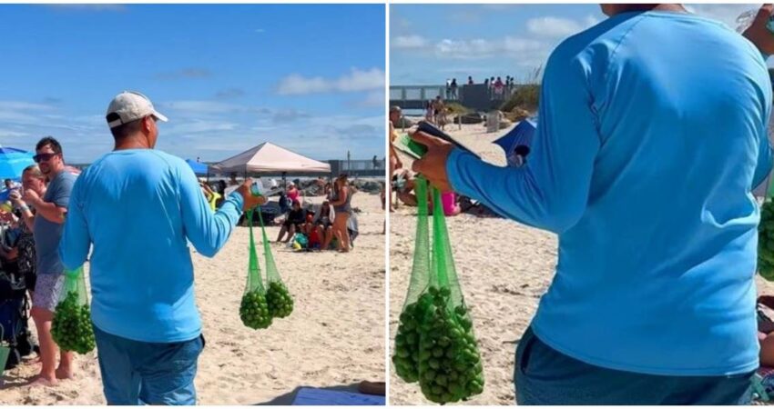 Llegan los mamoncillos a la playa de South Beach en Miami Beach mamoncillo-miami-beach