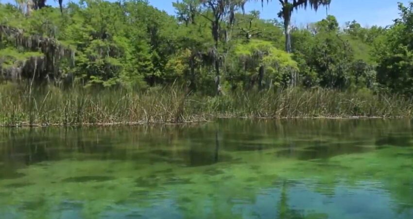 Florida cuenta con el manantial de agua dulce más grande del mundo manantial-floirda3