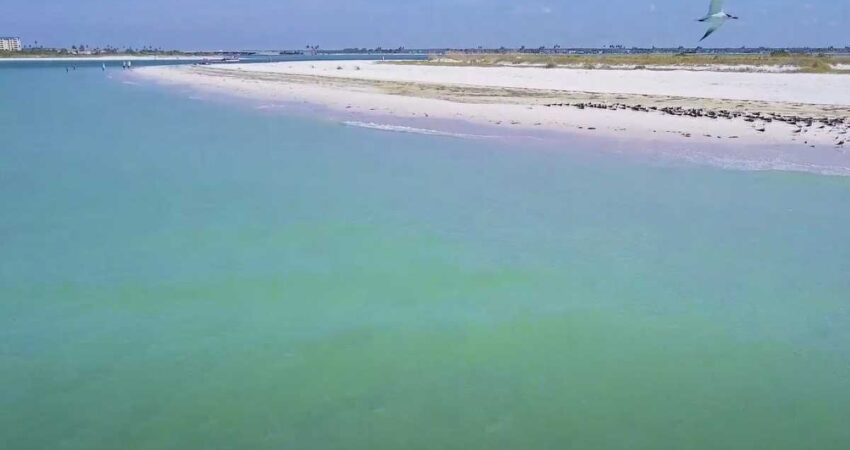 Parque Estatal Caladesi Island en Florida alberga la mejor playa del estado con aguas cristalinas y arena de cuarzo parque-florida