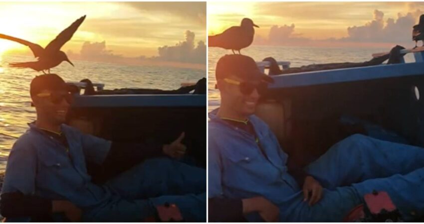 Balseros cubanos se emocionan al ver dos cuervos en su embarcaciรณn que reflejan la proximidad a las costas de EE.UU balseros cubanos-videos de TikTok