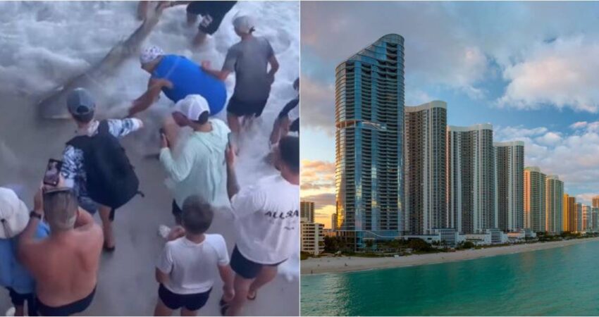 Un tiburón le arrebató parte de su cuerpo, pero ella convirtió el dolor en una ley para salvar vidas tiburon-sunny-isles