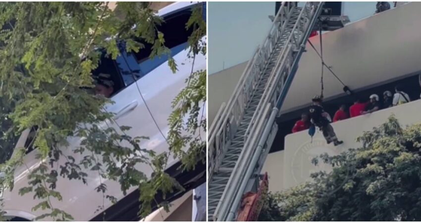 Auto queda suspendido entre un árbol y la pared de un estacionamiento en Miami, mientras los bomberos intentan rescatar al conductor con vida accidente de tránsito-edificio de Coral Gables