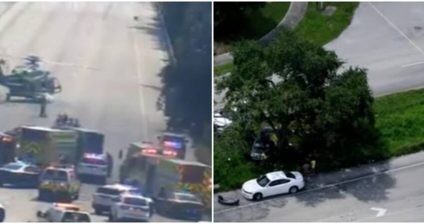 Tres heridos y un muerto fue el saldo que dejรณ un accidente en la autopista Palmetto cuando un conductor perdiรณ el control del auto e impactรณ contra un รกrbol accidente en Palmetto-heridos y un muerto