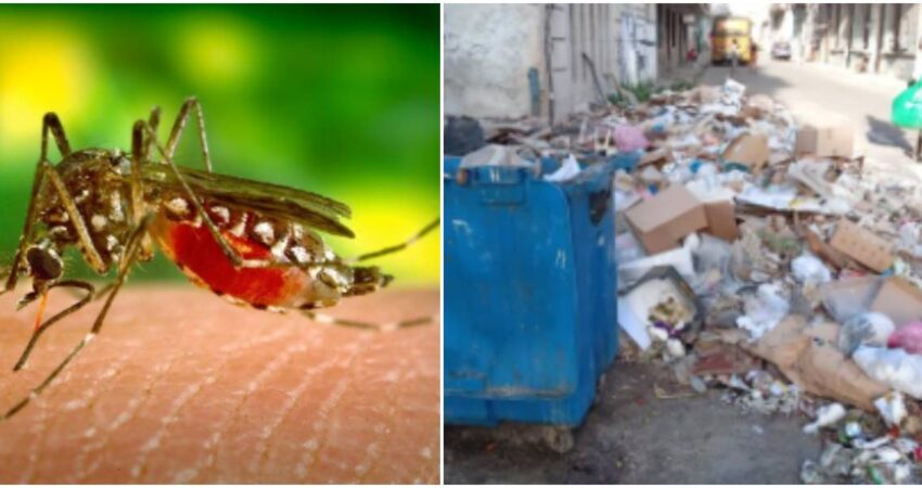 Autoridades del MINSAP alertan sobre la situaciรณn epidemiolรณgica de Cuba ante el aumento de casos de dengue y el Oropouche aumentos de enfermedades-sistema de salud cubano
