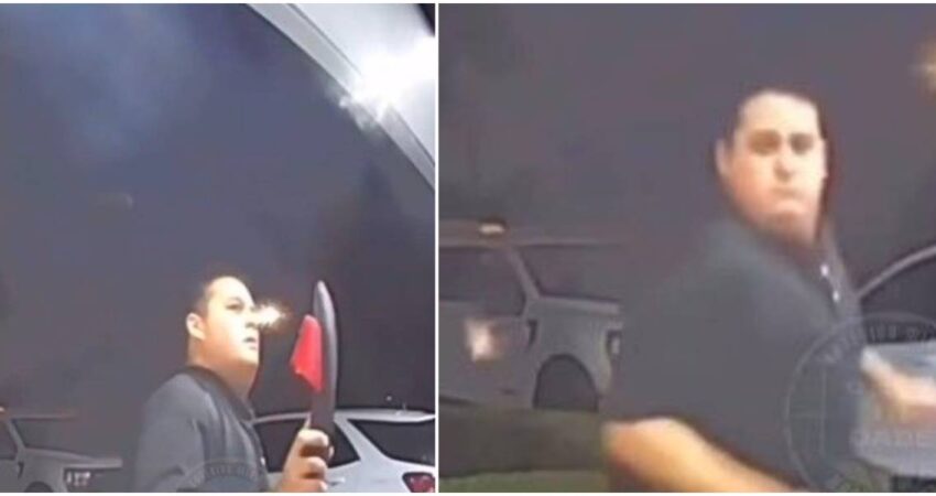 Simpรกtico video que muestra hasta donde se puede ser valiente cuando de cucarachas voladoras se trata cucaracha-voladora