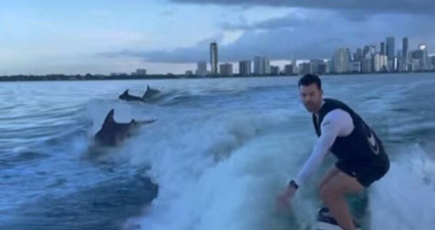 Solo en Miami: Hombres en un yate tienen encuentro con delfines dejando espectaculares imรกgenes de la ciudad delfines-miami
