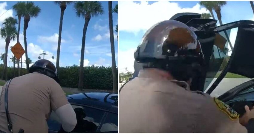 Departamento de Policía de Miami-Dade hace público videos de la detención de Tyreek Hill estrella de Miami Dolphins miami-dade-police